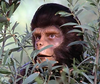 Tv Image